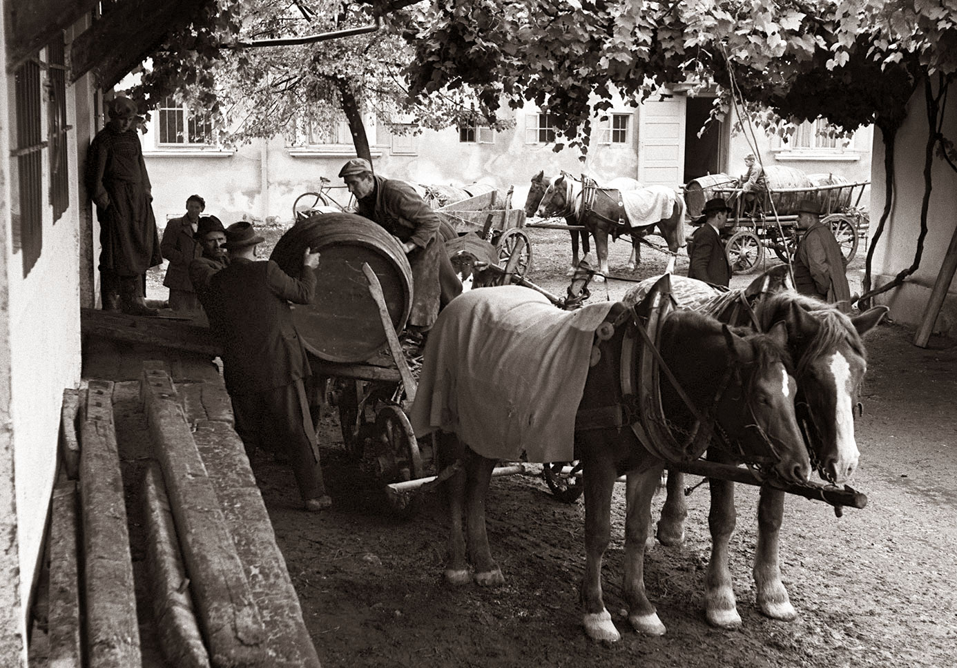 Heard it on the Grapevine V: The Year of the Horse